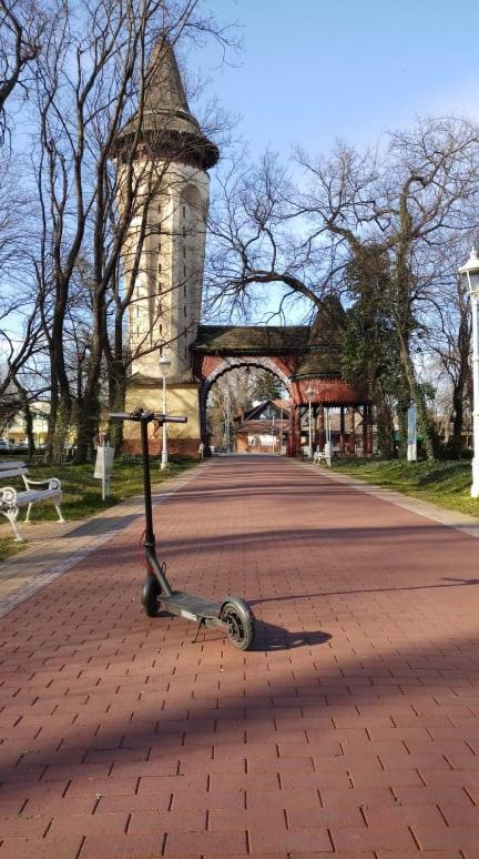 Hostel Put Svile Суботиця Екстер'єр фото